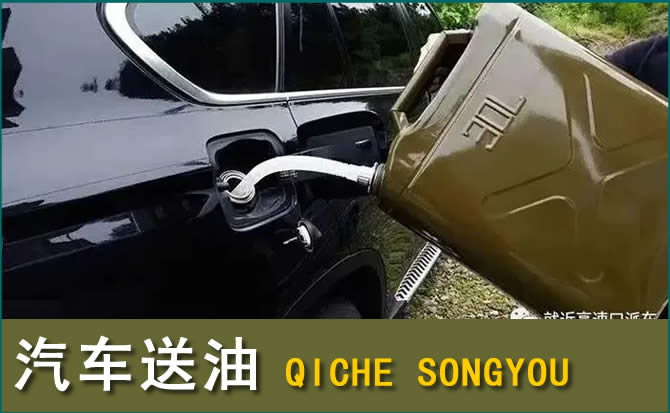 乳山汽车救援送水案例